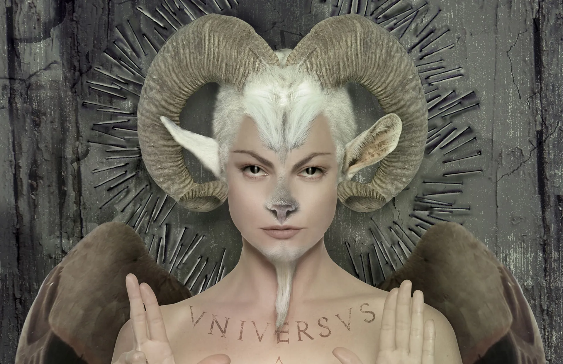 Mariano Toledo - Gallery Image 1