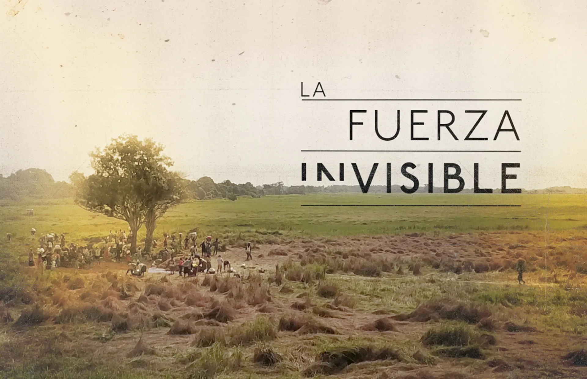 La Fuerza Invisible - Gallery Image 1